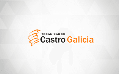 Cliente Selenne ERP- Castro Galicia min